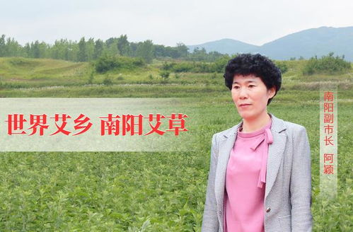 南陽(yáng)艾草 一株香草托起的健康服務(wù)新未來(lái)
